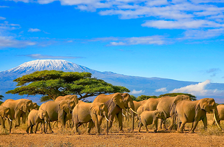 Ritmo della Tanzania